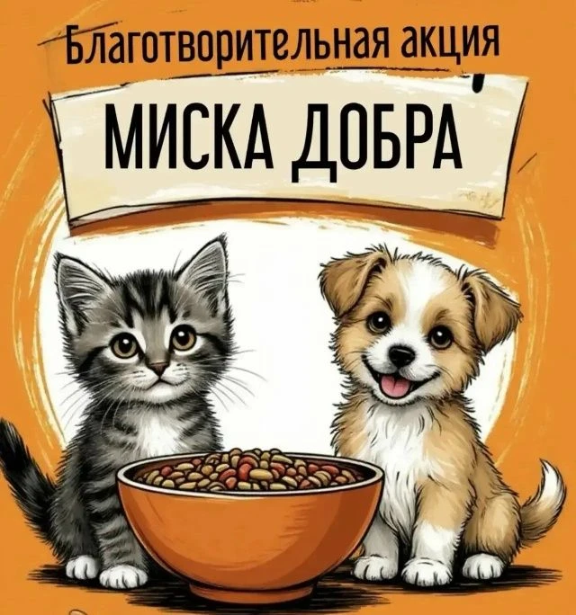 Акция «Миска добра»❤️Цель этой акции — воспитание у детей гуманного отношения к окружаю...