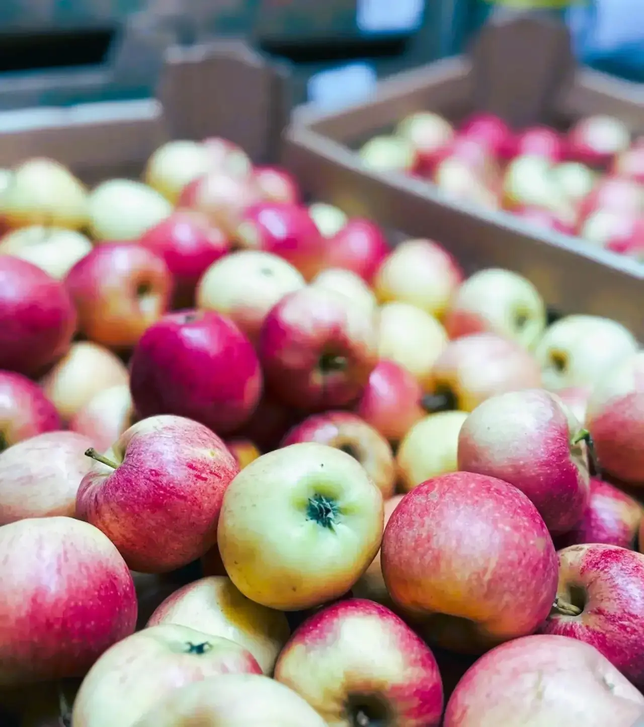 #КонтрольКачества 🍎
