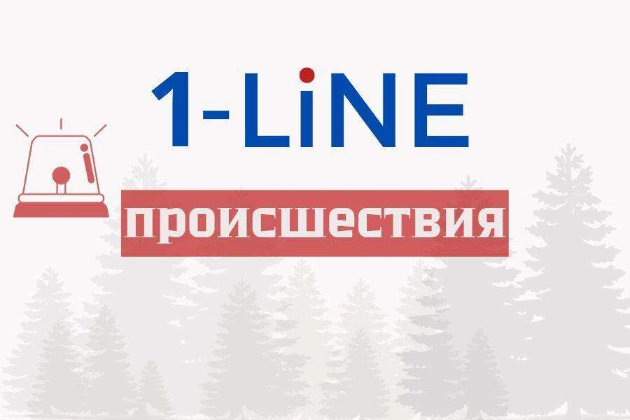 Жительницу Алтая силовики отговорили от опасного шага
