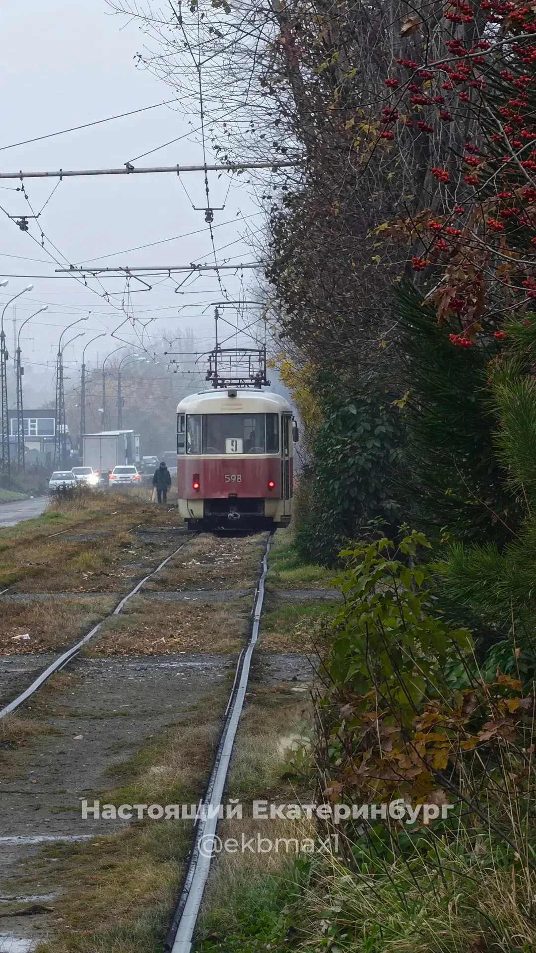Осенняя красота 🍁 🍂