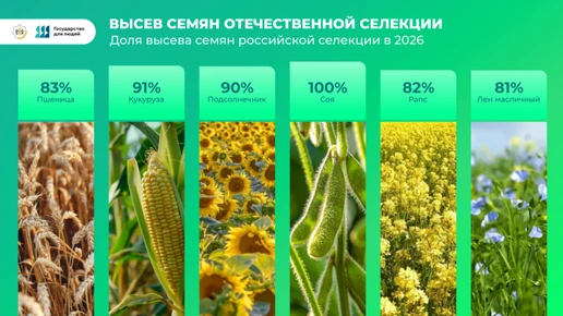 Новосибирская область обеспечена продовольствием и готова к реализации сельхозпродукции...