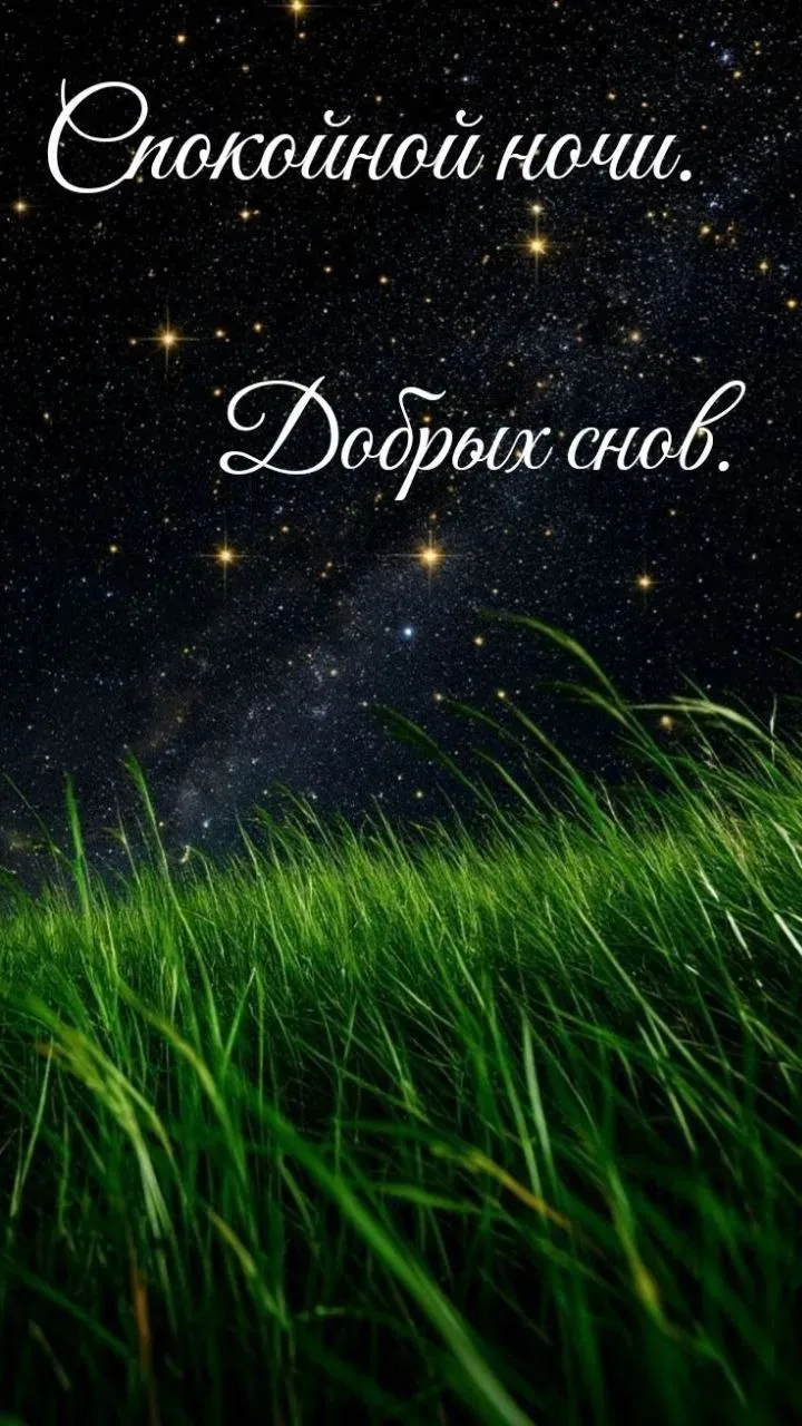 🌿🌿🌿🌿🌿🌿🌿🌿🌿🌿