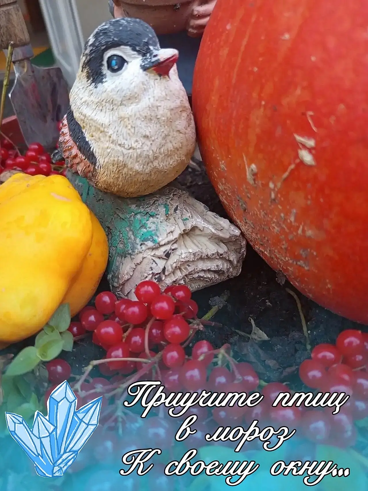 Приучите птиц в мороз