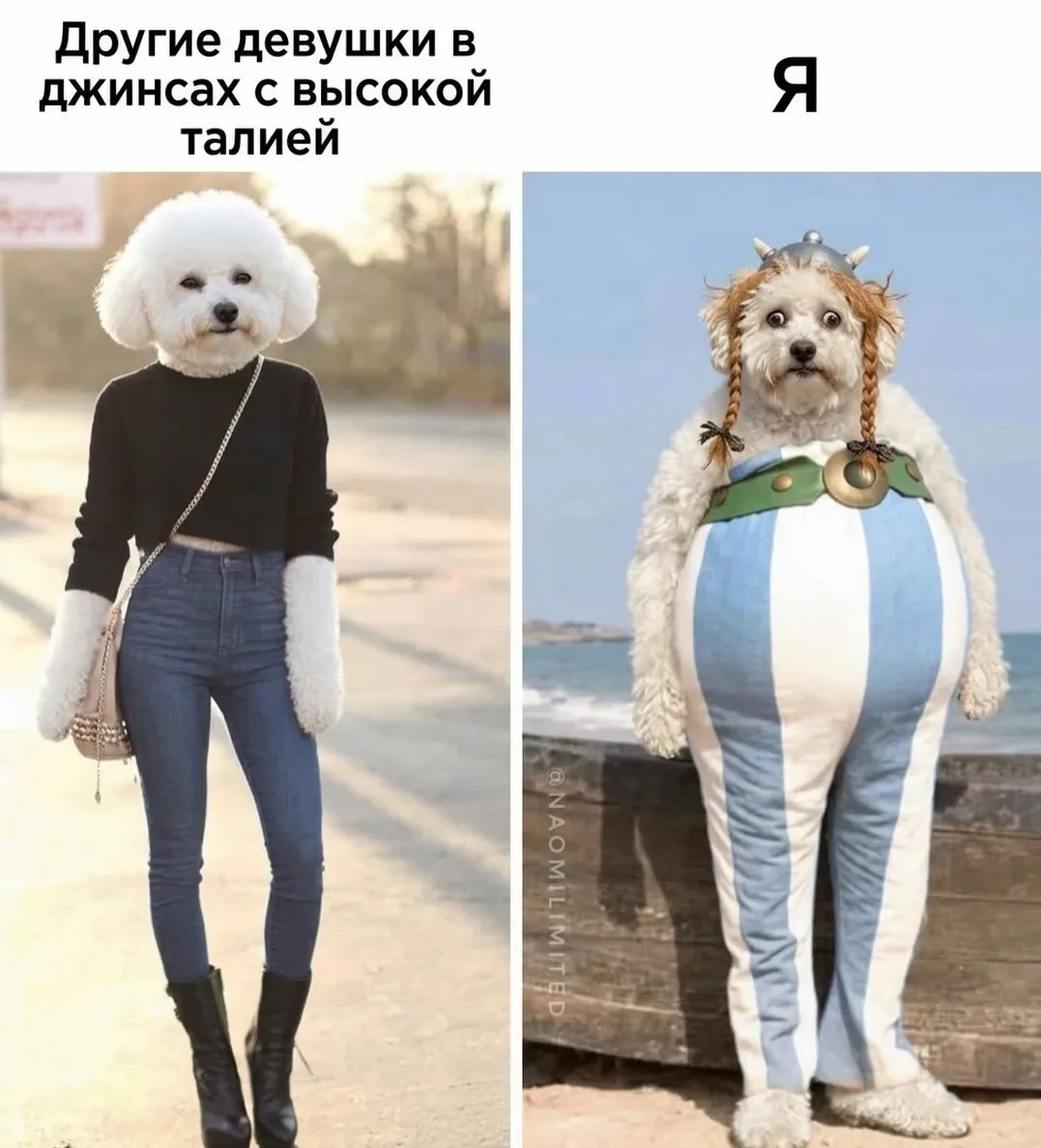 Женский юмор - Подписаться