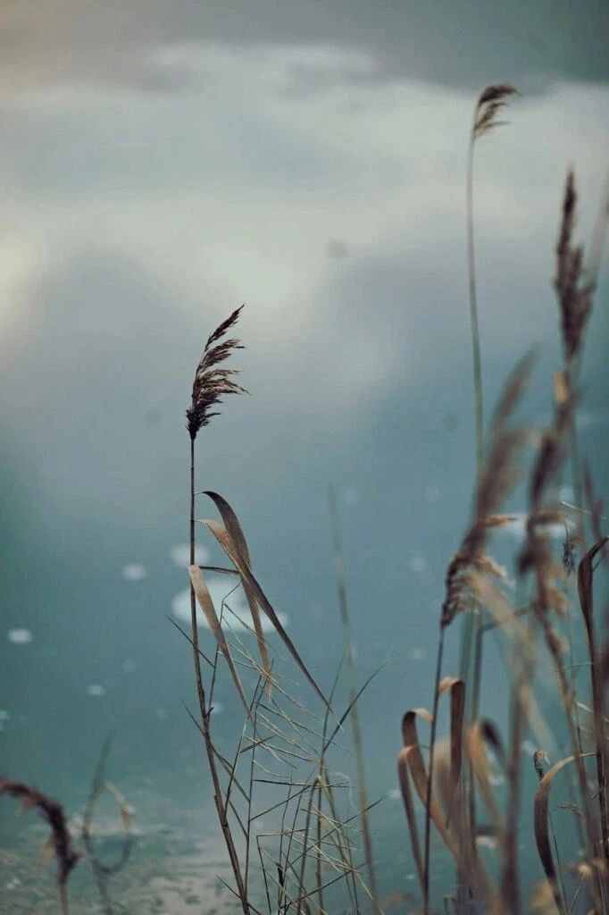 @oboi_wallpaper_kpop