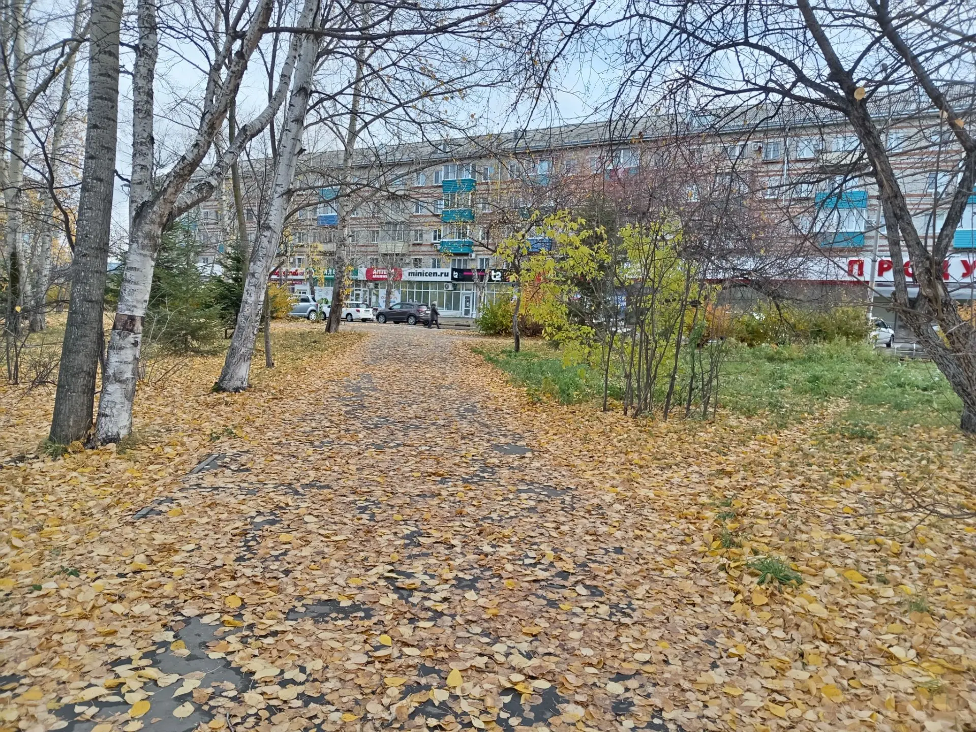 🍂 От первого снега, принесенного в Амурск на Покров, 14 октября, не осталось никаких с...