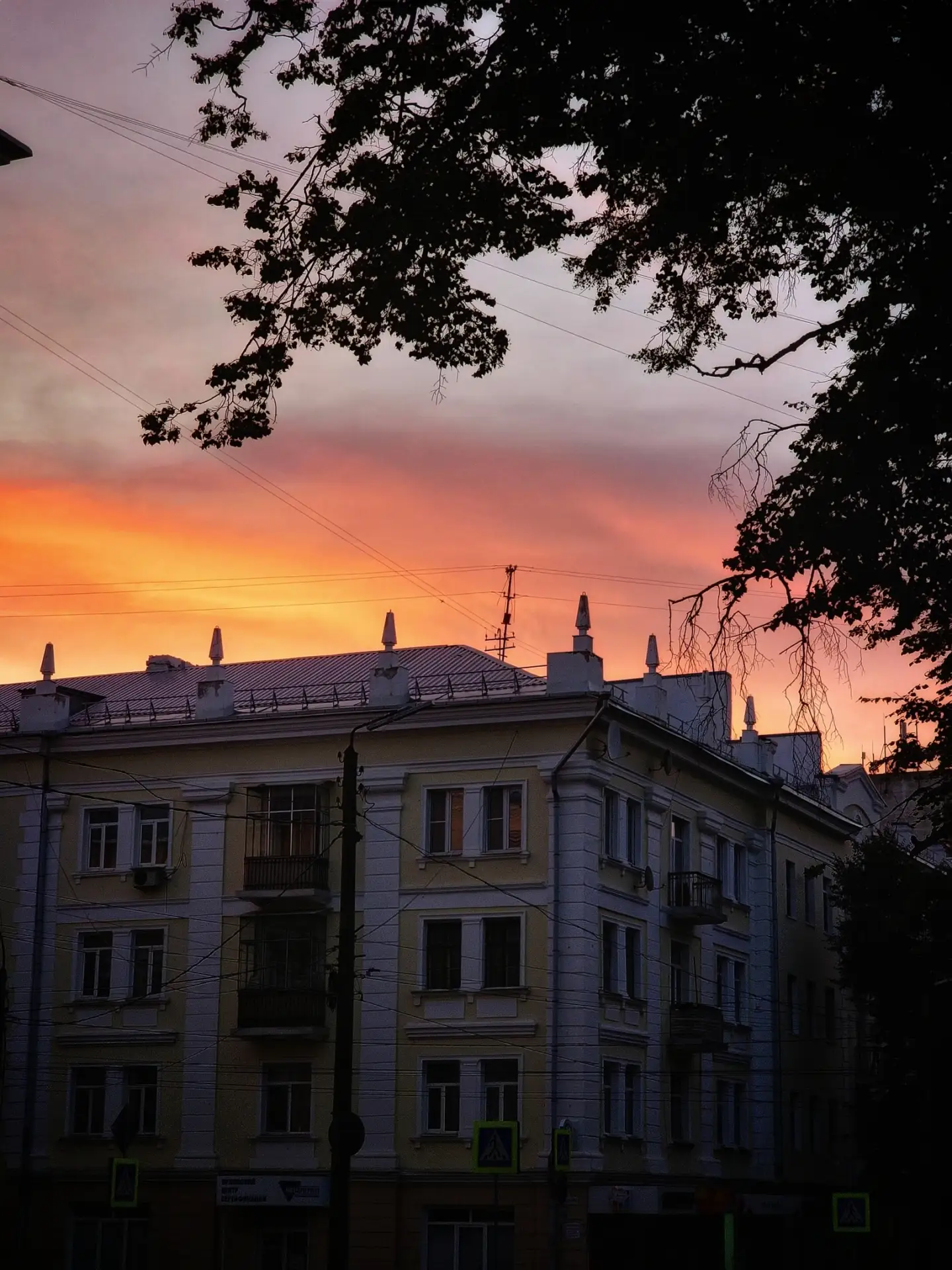🌙 Доброй ночи, Орёл!
