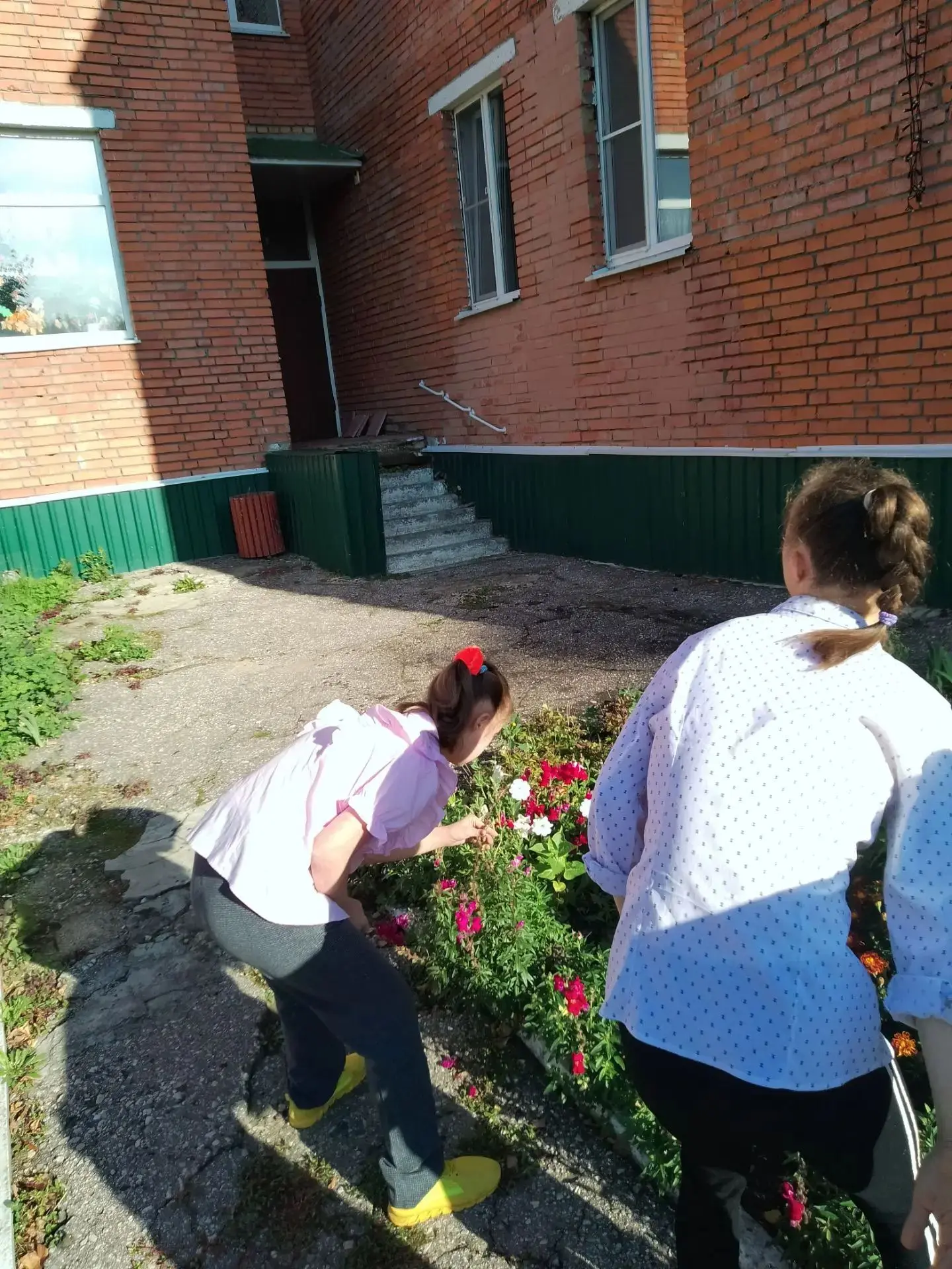 Поведение насекомых осенью🐞🦋🐜