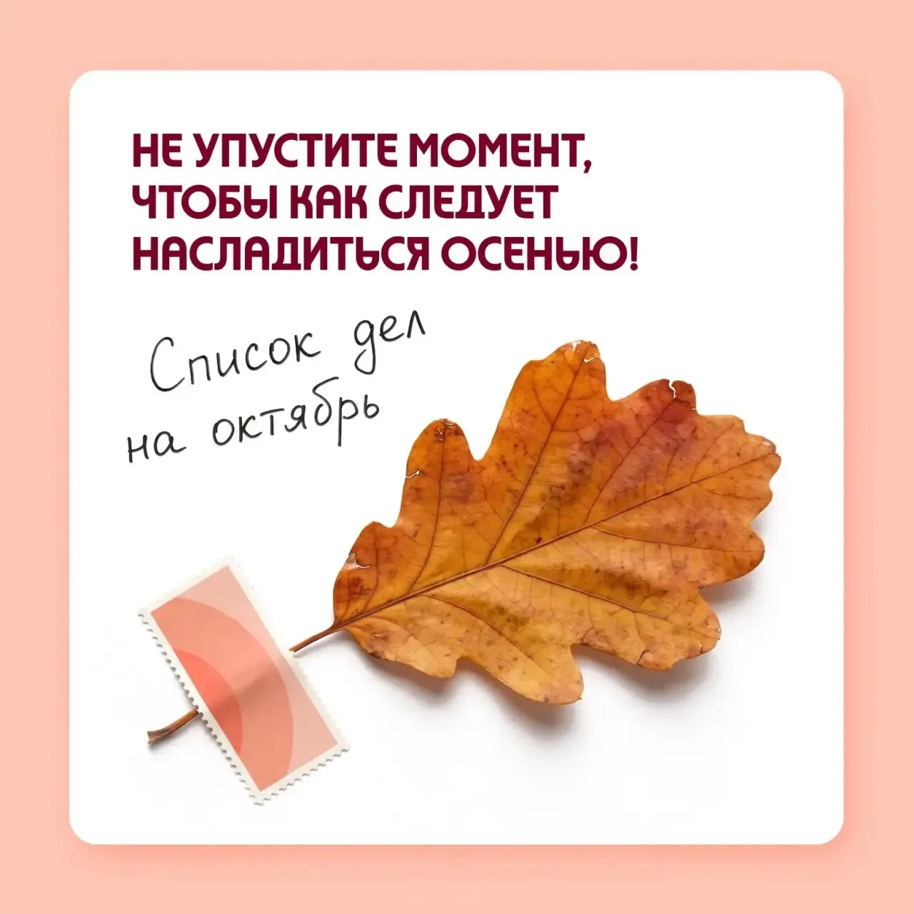 Чувствуете, как пахнет осень?🍂