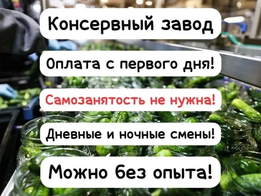 🙋🏻‍♂️ Доброго дня всем!