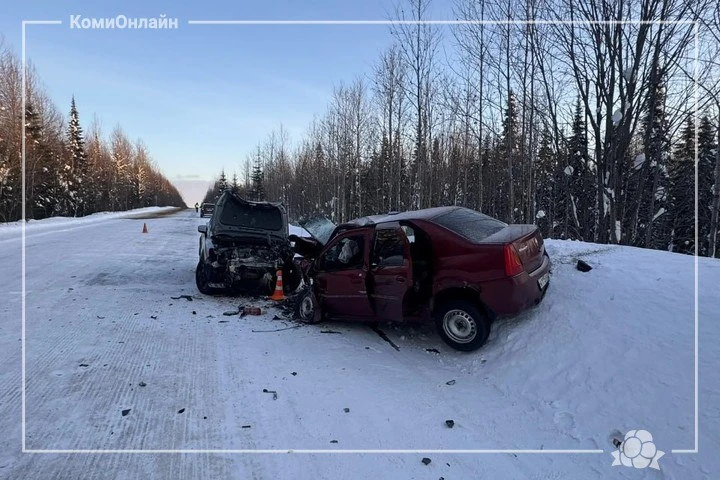 Водитель иномарки осужден на гибель пенсионеров на трассе под Сосногорском