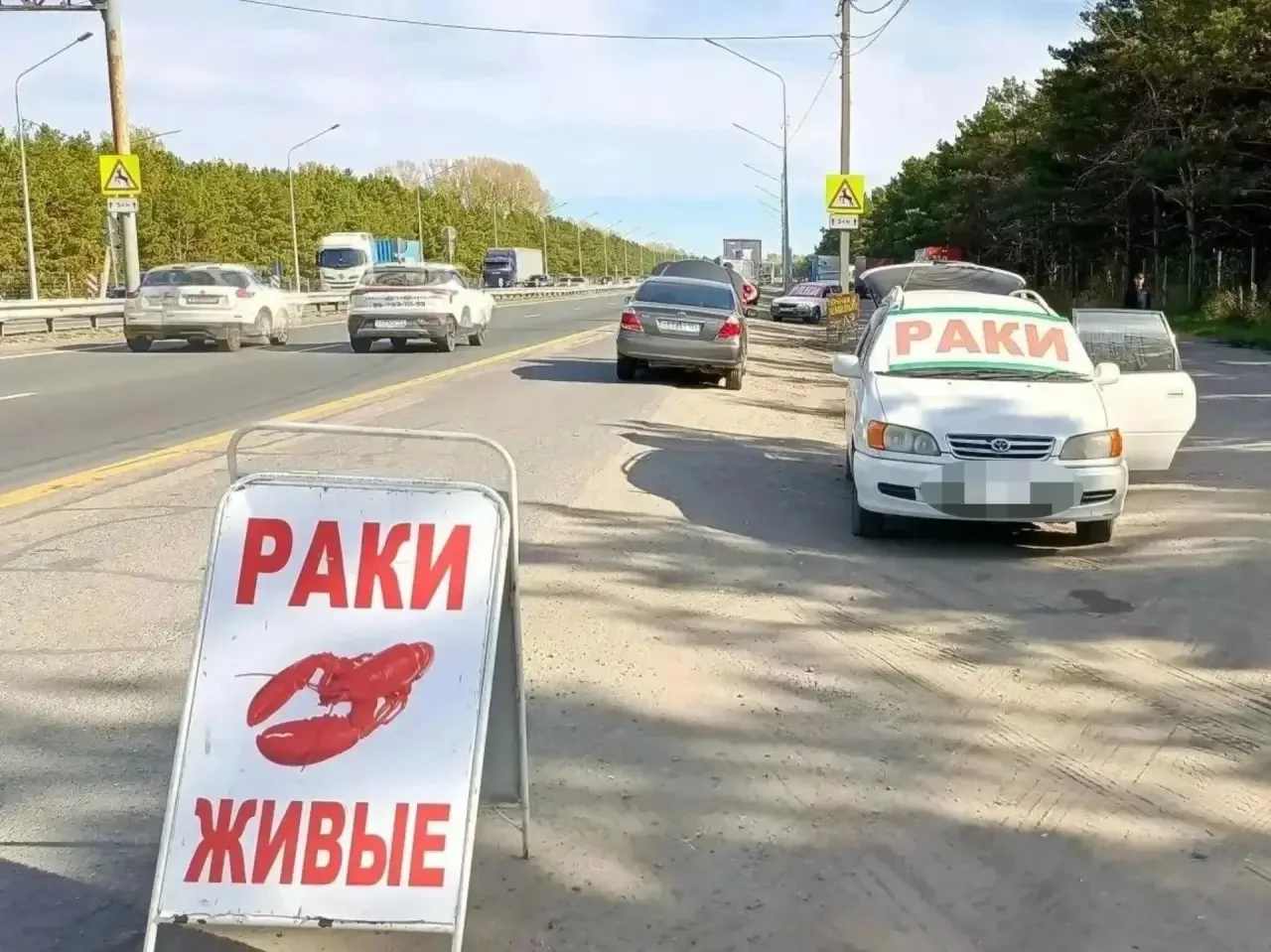 Борьбу со стихийной торговлей на въезде в город усилят в Барнауле 👮