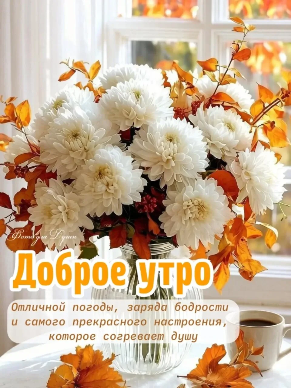 Понравилась открытка? Жми ❤ и делись настроением!