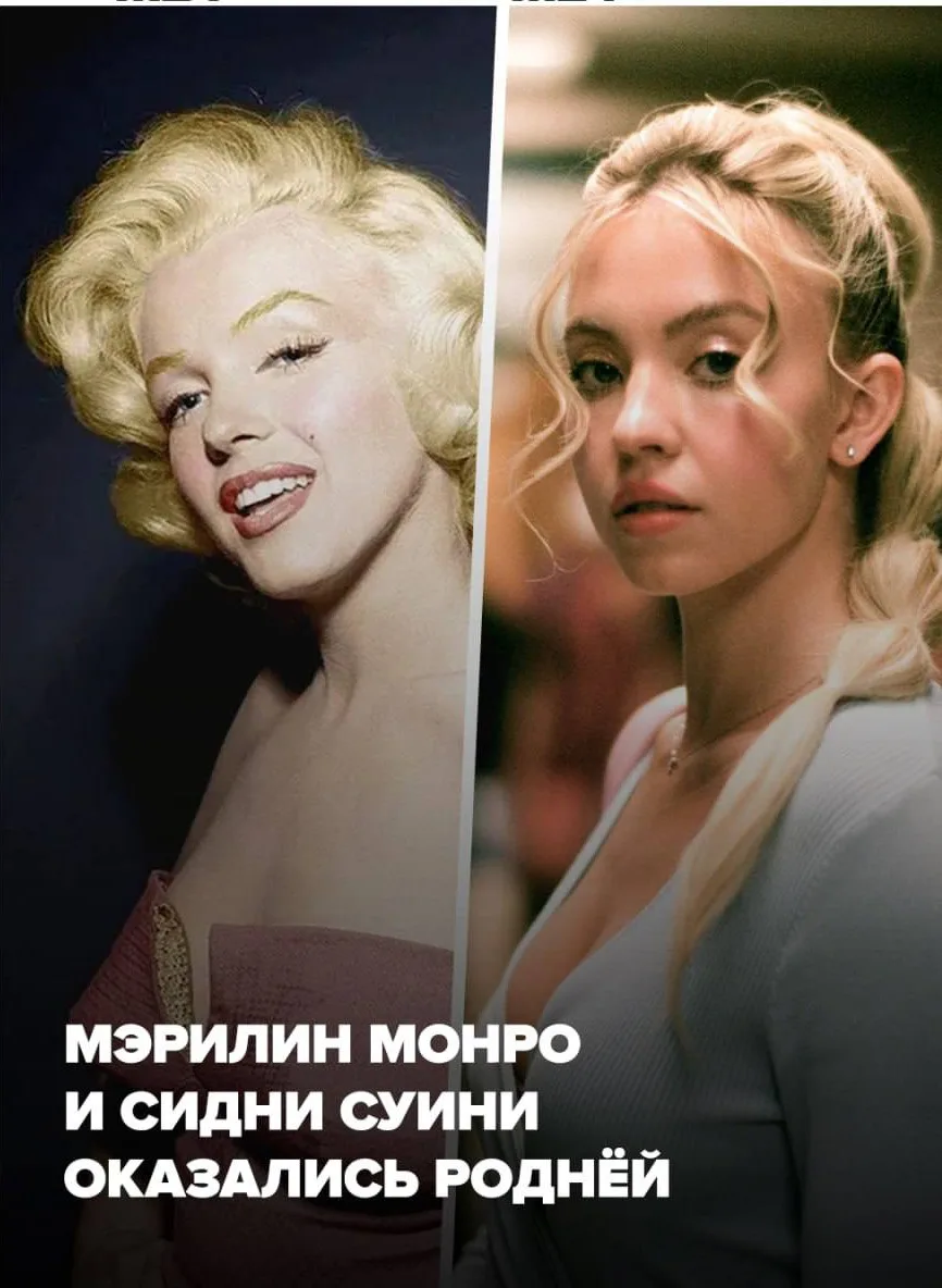 Мэрилин Монро и Сидни Суини — девятиюродные сёстры с разницей в одно поколение.