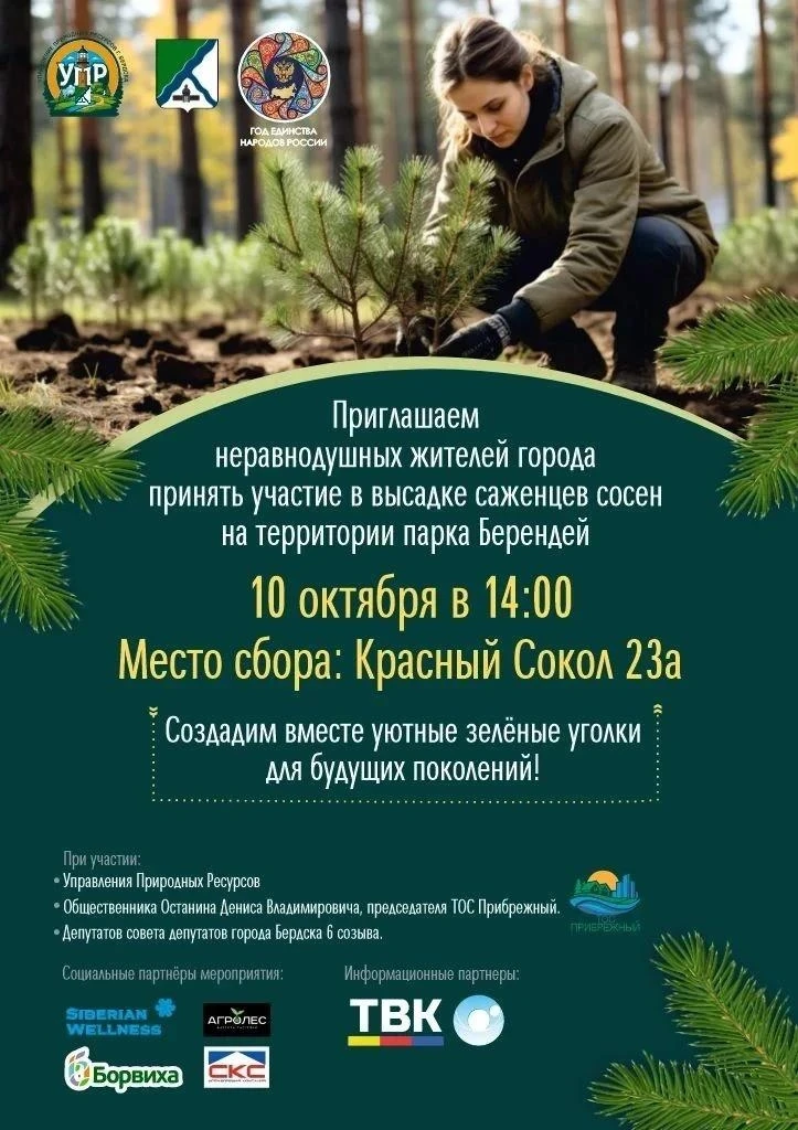 Бердчан приглашают 10 октября на посадку сосен в парке «Берендей»