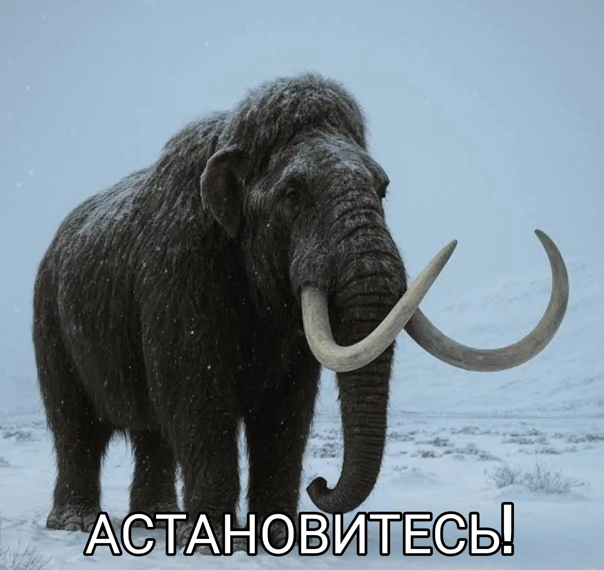 За сентябрь мошенники похитили у жителей РТ полмиллиарда рублей