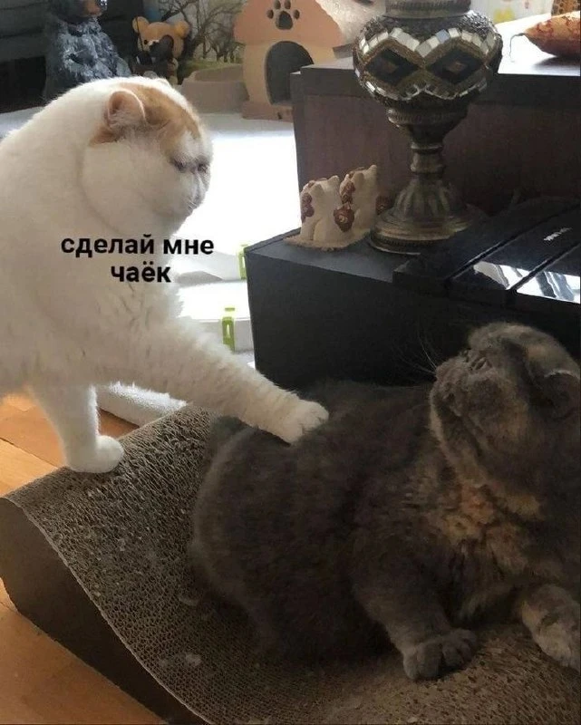 На бодреньком!)
