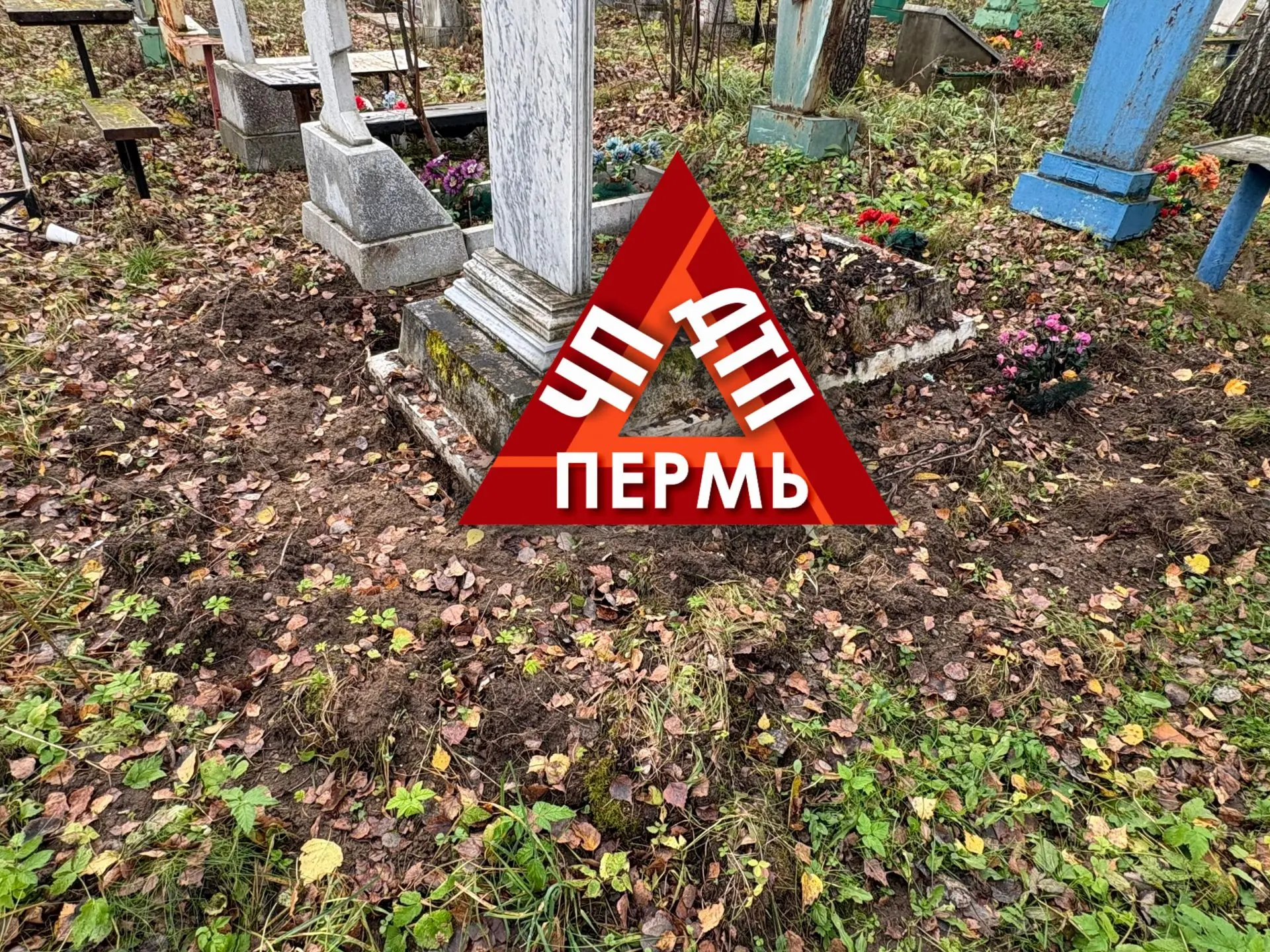 От подписчиков