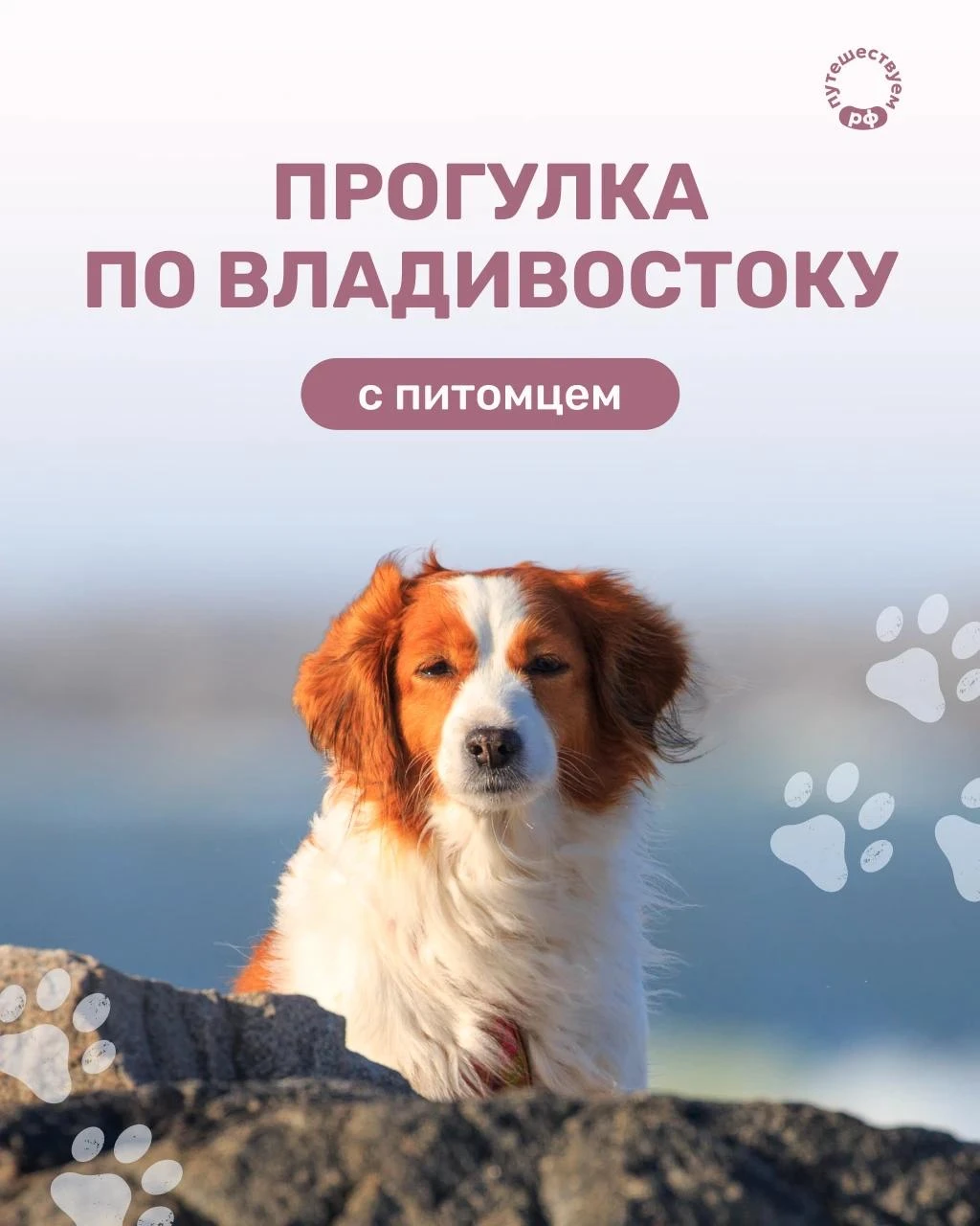Берем теплый непромокаемый костюмчик, пару любимых игрушек и отправляемся во Владивосто...