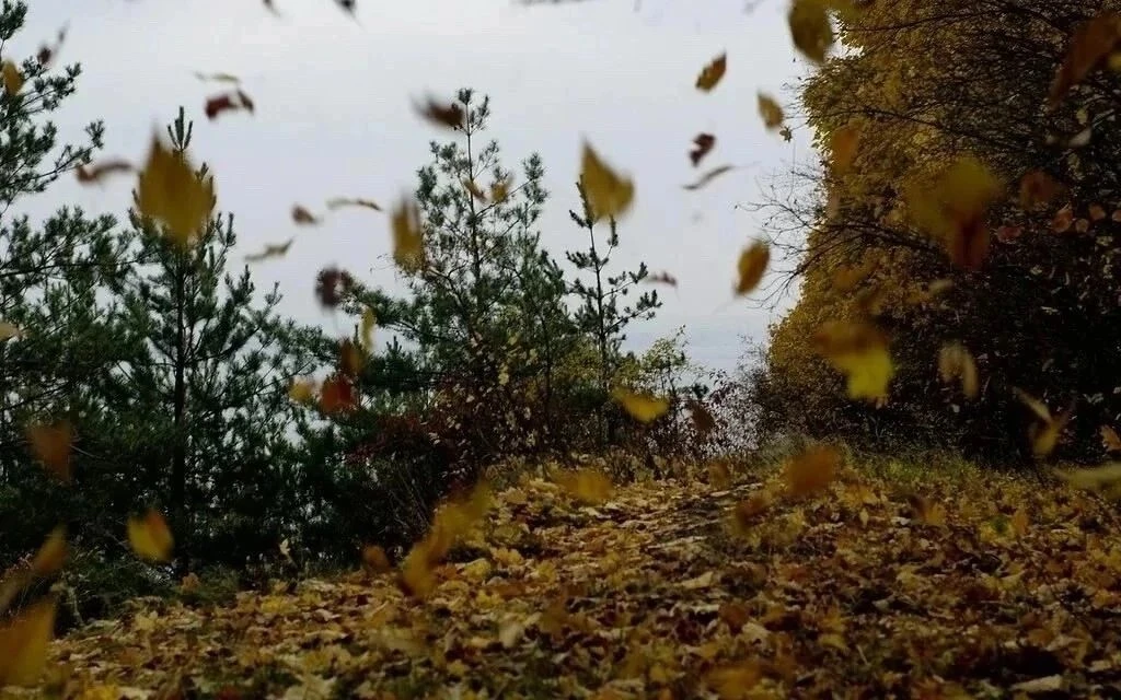 ‼️ПРЕДУПРЕЖДЕНИЕ О НЕБЛАГОПРИЯТНЫХ ЯВЛЕНИЯХ ПОГОДЫ
