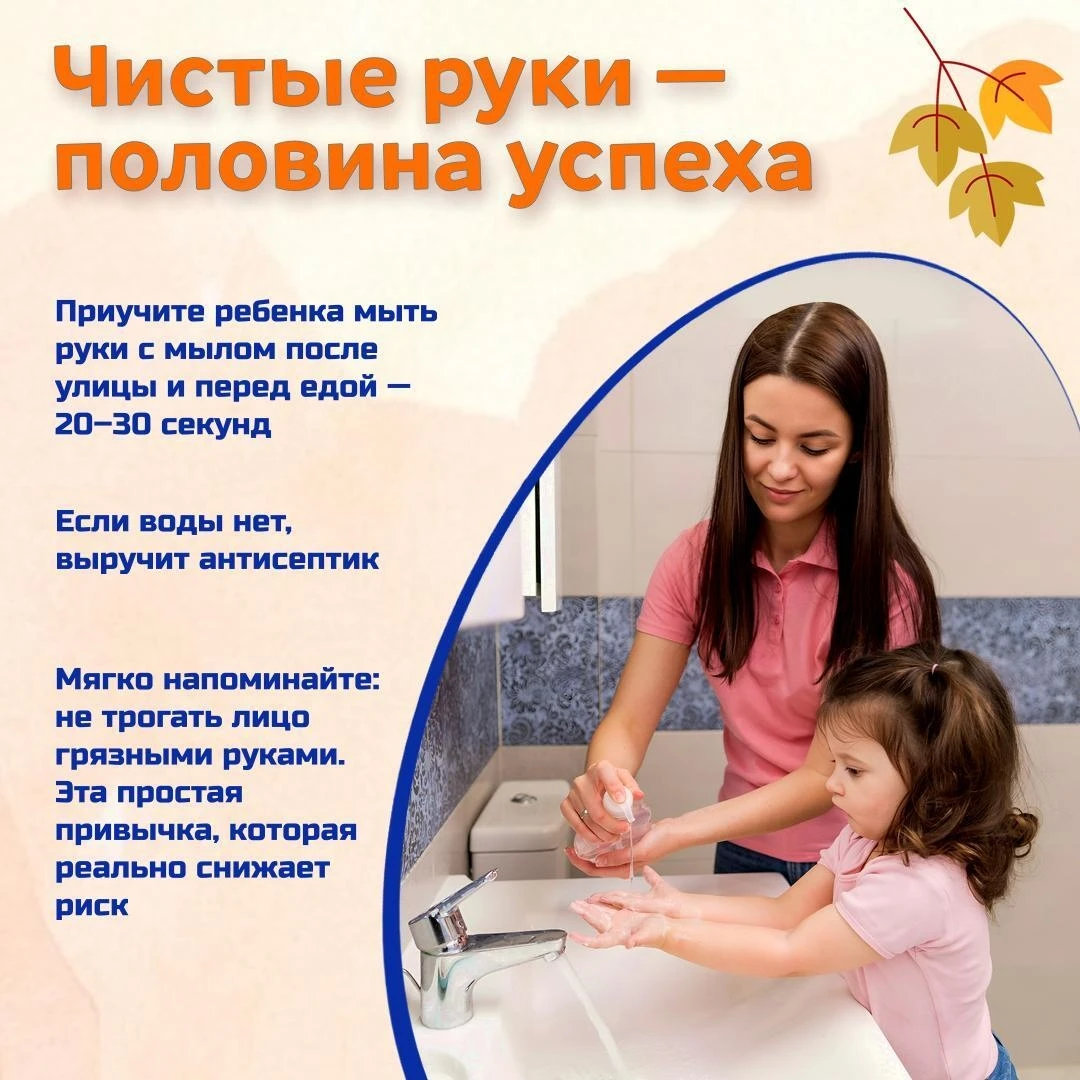 Осень — время не только красивой природы, но и сезонных простуд😷 🍁