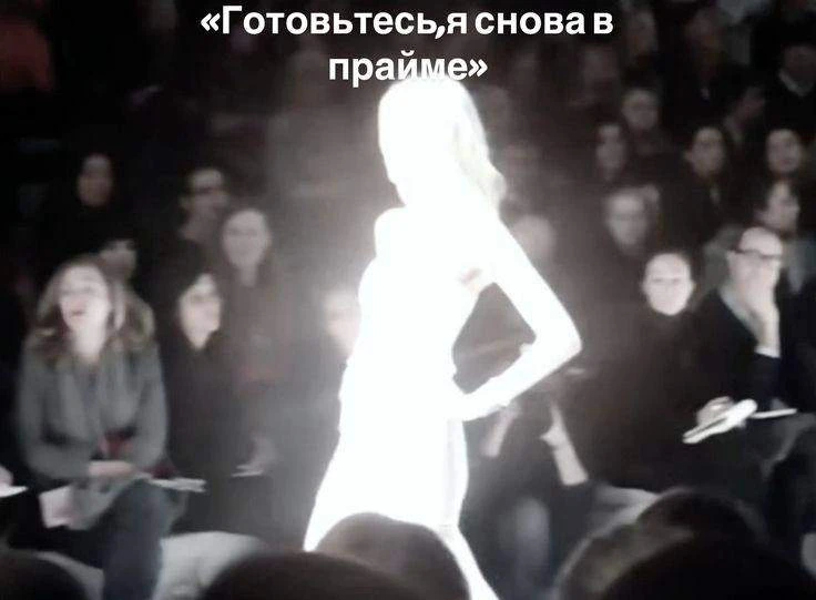 Мэрия Оренбурга в четырнадцатый раз ищет подрядчика на отлов бродячих собак.