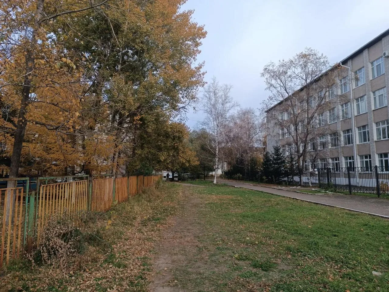 ☀️ Доброе утро, Еврейская автономная область и наши любимые подписчики!