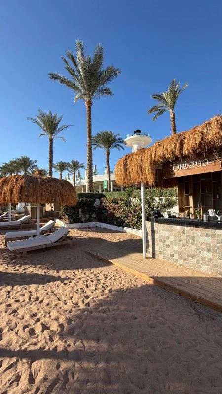 ВАУ-ОТЕЛЬ В ЕГИПТЕ — SUNRISE REMAL BEACH 5❤️