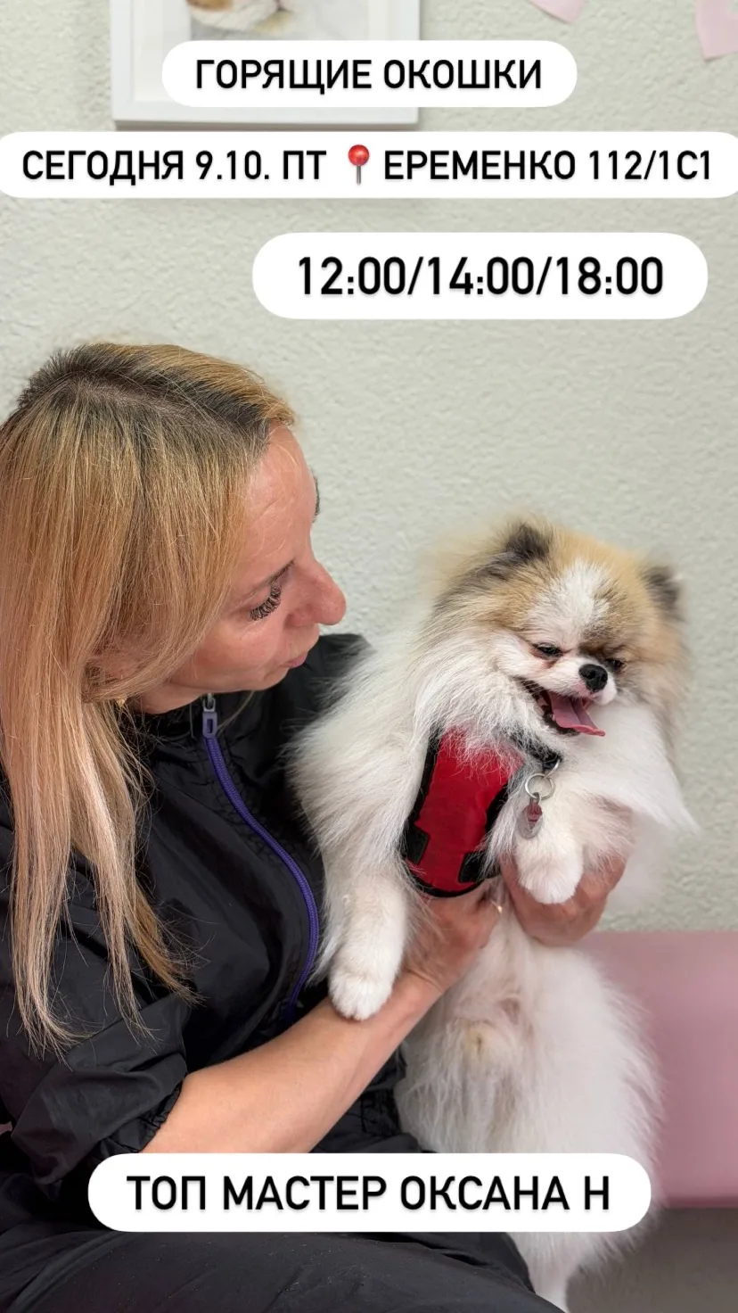 Горящие окошки на филиале Еременко на сегодня 🐾