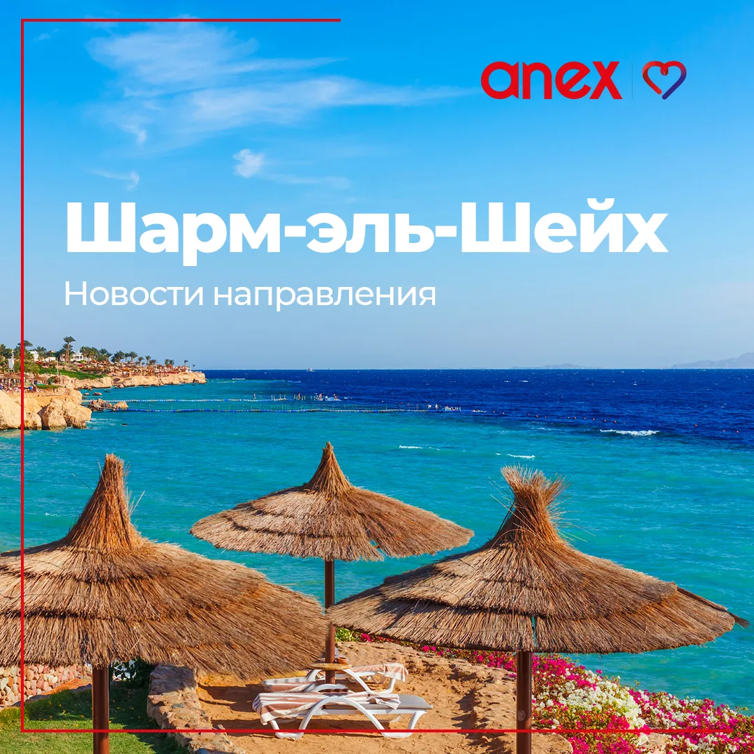 Актуальные новости по направлению Шарм-эль-Шейх!