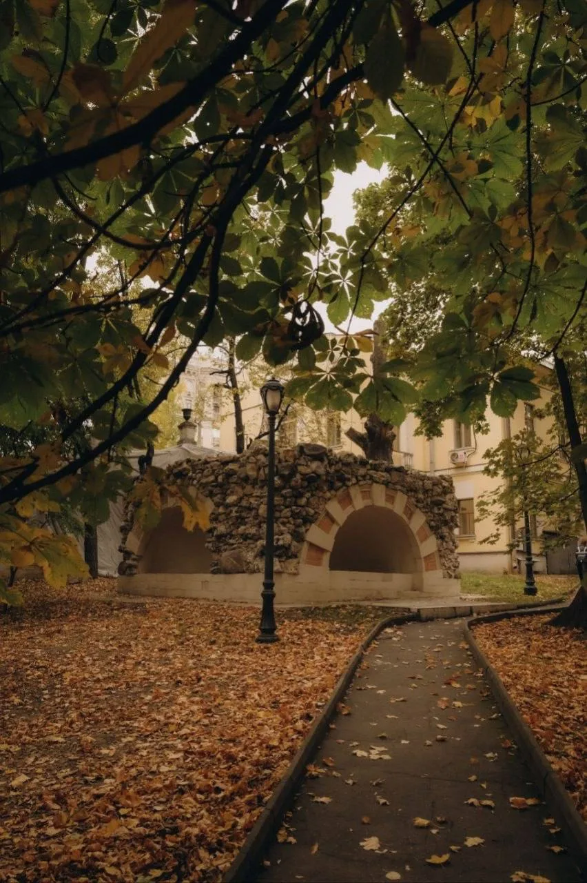 🍁 Парк усадьбы Усачёвых-Найдёновых — безлюдное место в центре Москвы