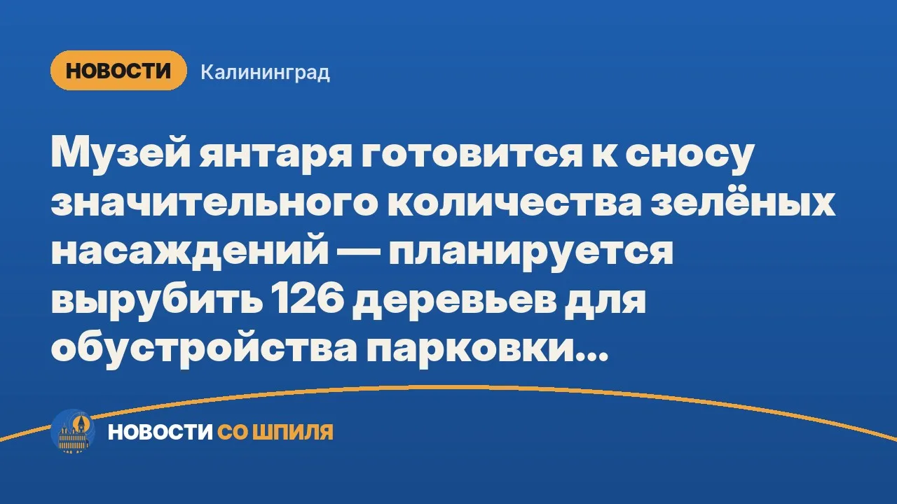 Музей янтаря готовится к сносу значительного количества зелёных насаждений — планируетс...