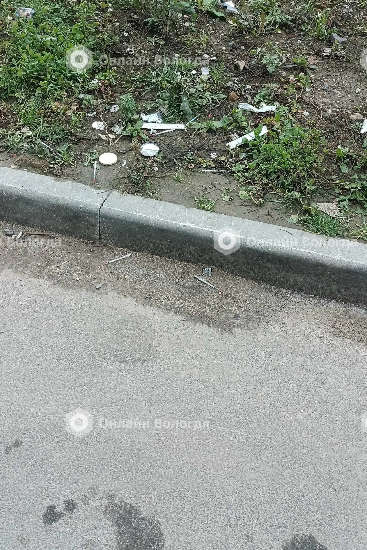 Вчера шел по Гагарина и увидел такую картину. В районе ГПЗ лежат в подьездах. Куда у на...