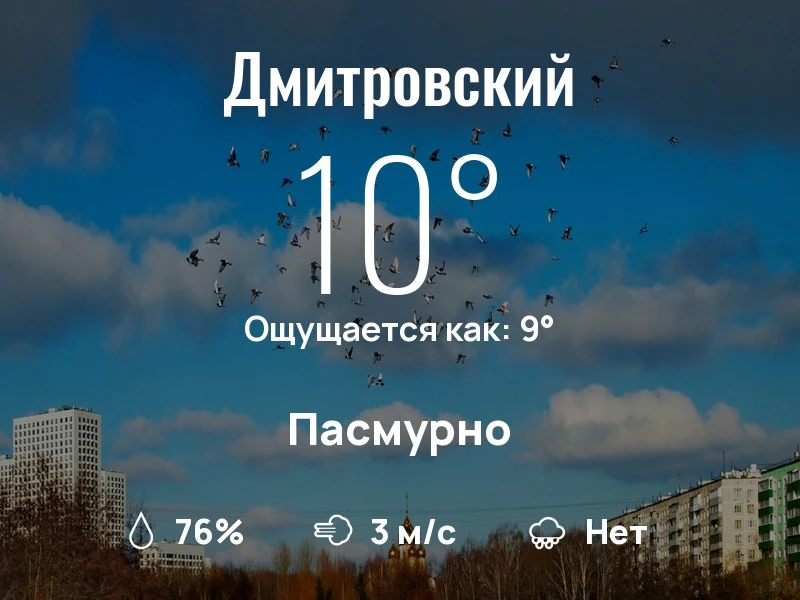 Что с погодой в Дмитровском?