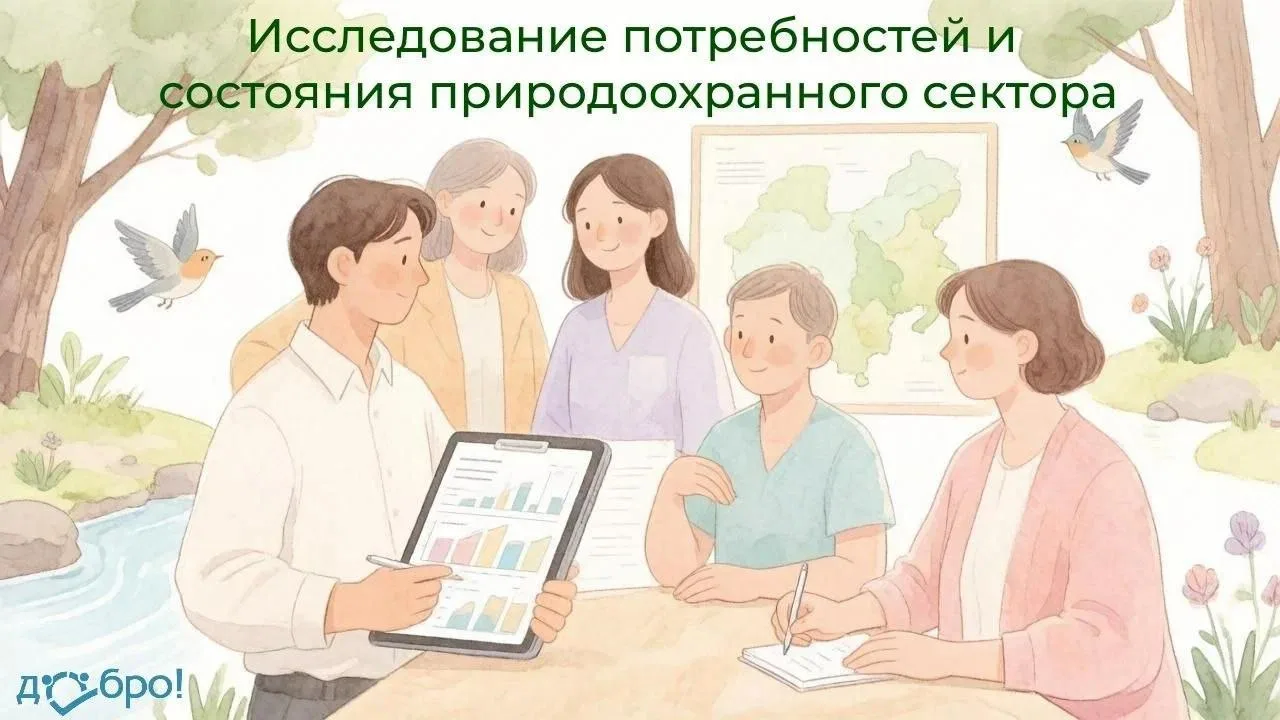30 минут, чтобы помочь в исследовании