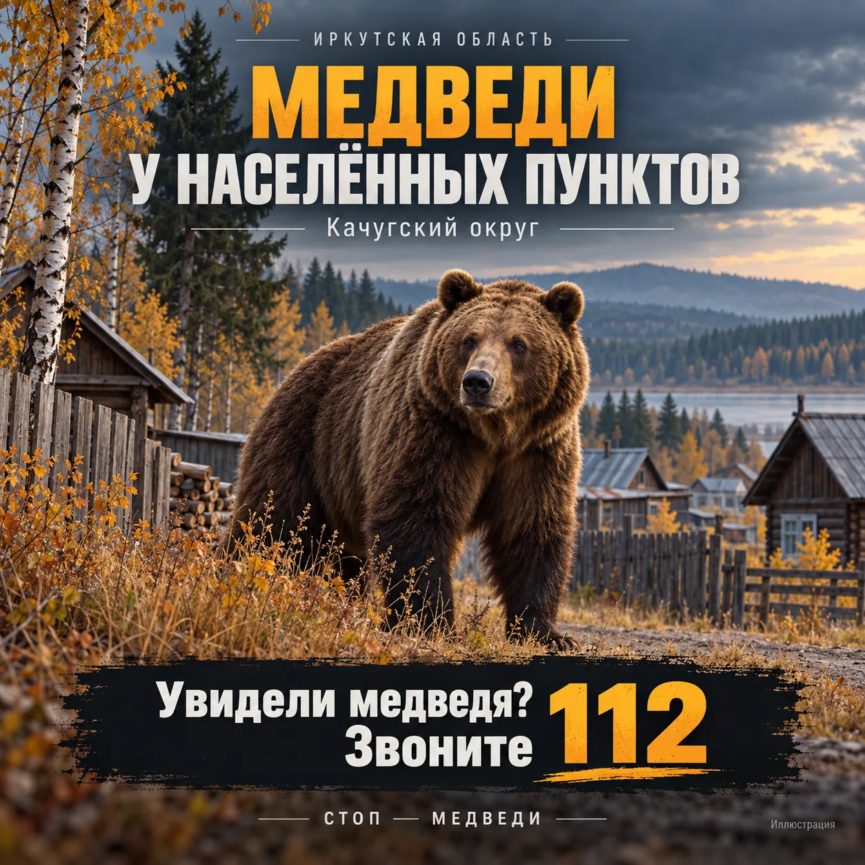 В Качугском округе ликвидировали двух медведей, угрожавших жителям