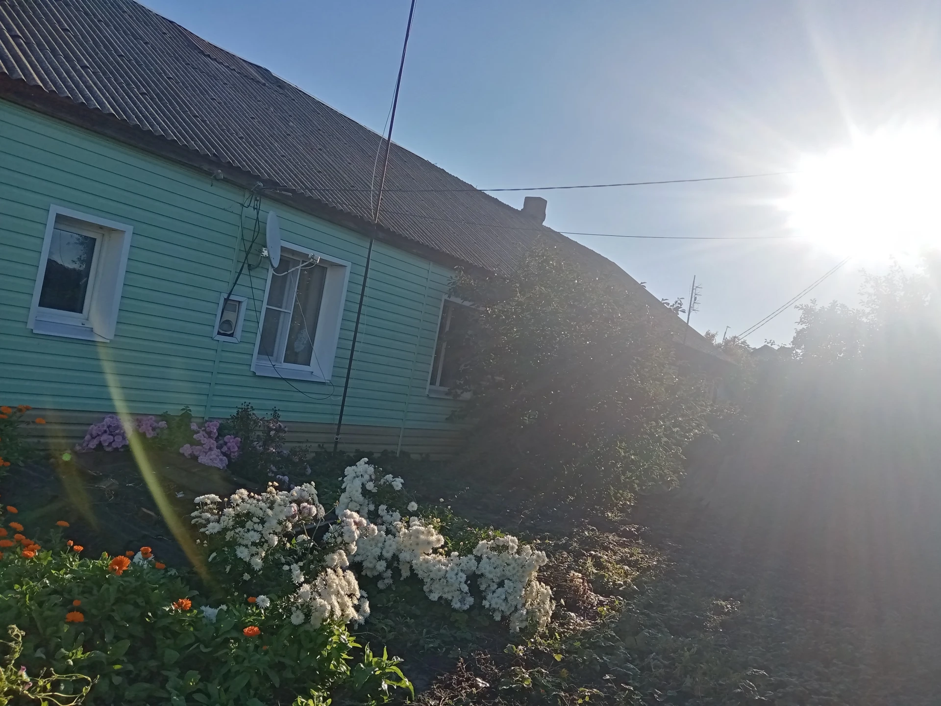 Доброго воскресного утра , друзья 🥰 Желаю как можно лучше провести сегодняший выходной...