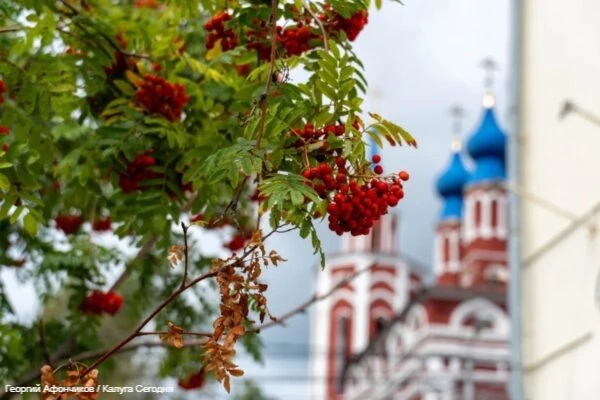 Наш город вышел в финал всероссийского конкурса «Культурная столица 2028 года». До заве...