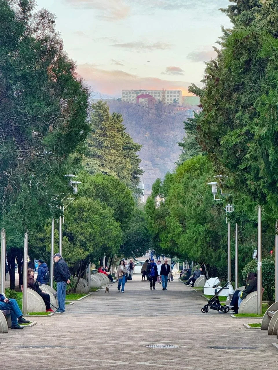 В Туапсе преобразится улица Галины Петровой. Здесь появятся несколько пирамидальных кип...
