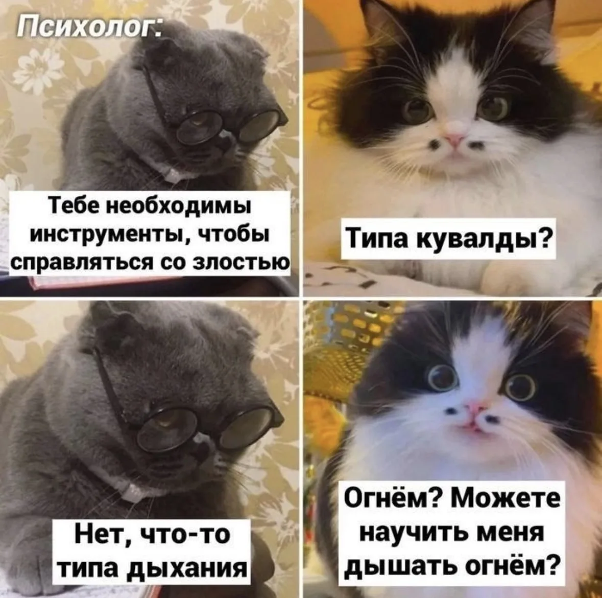 И я хочу