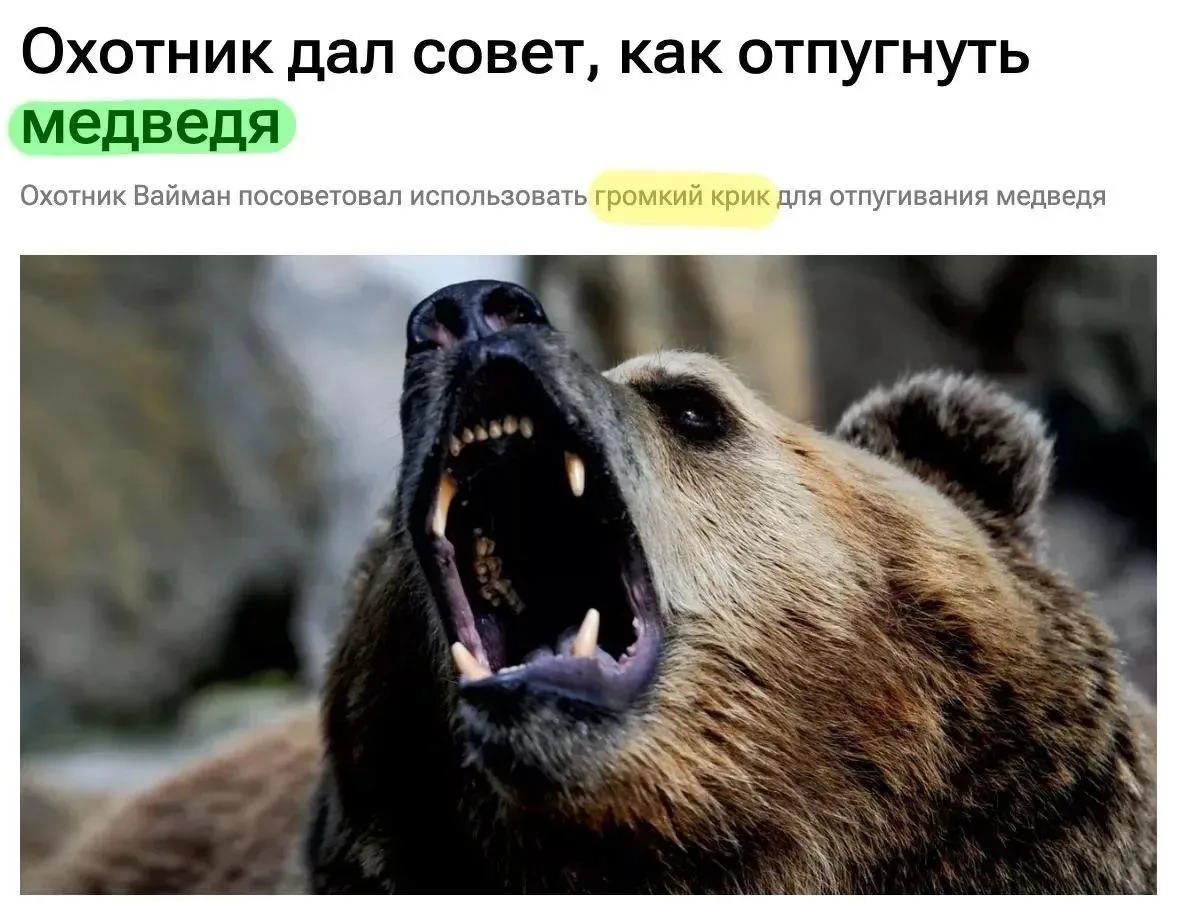 ❗️Жителям РФ посоветовали материться при встрече с медведем.