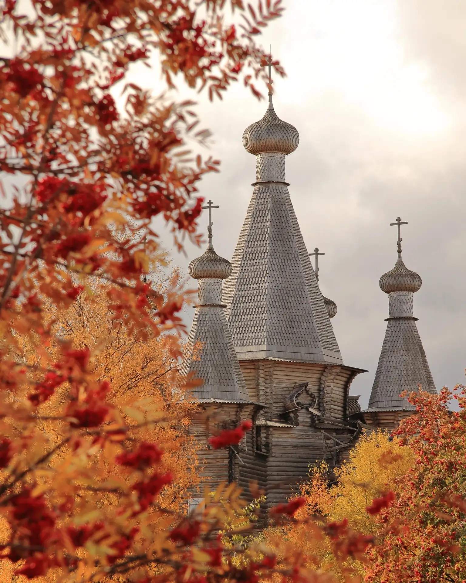 Прекрасное рядом 🍂