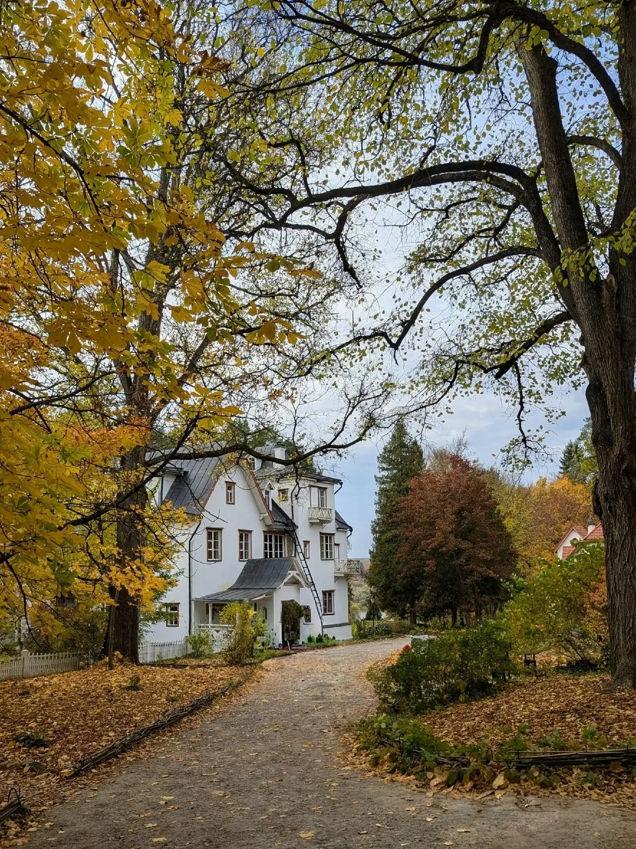 GOOGLE PIXEL 7 Pro