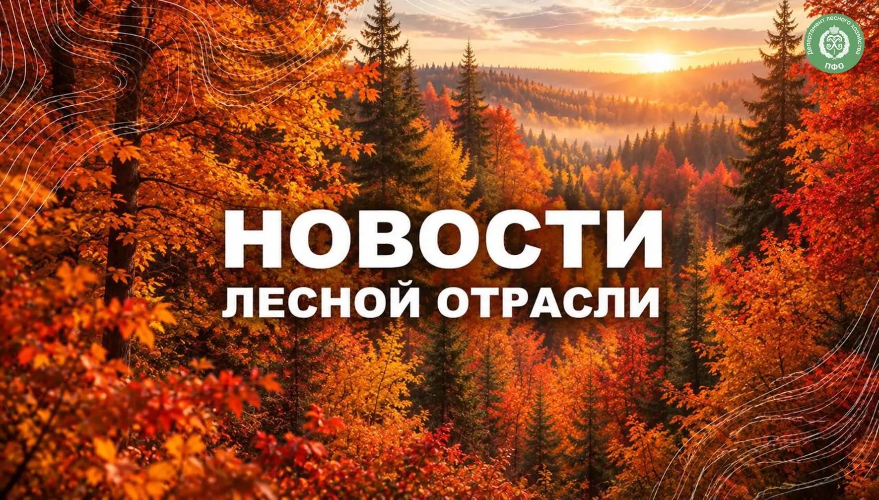 🟢 UfacityNews.ru: В Башкирии до 22 октября сохраняется угроза лесных пожаров