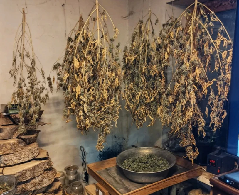 ‼️ Под Тулой задержали наркоагрария с 50 кг марихуаны