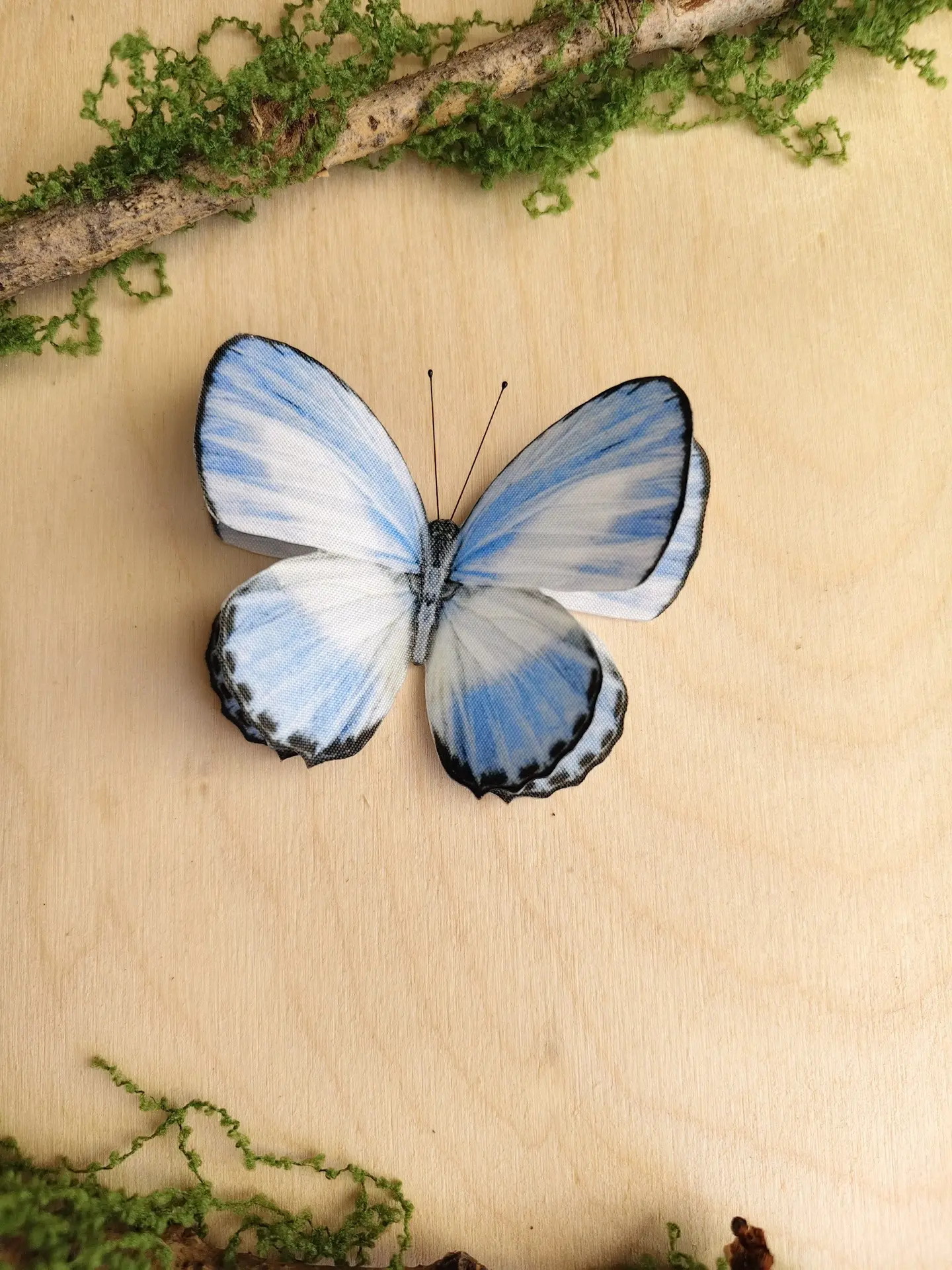 Друзья, полюбуйтесь на этих красавиц 🦋