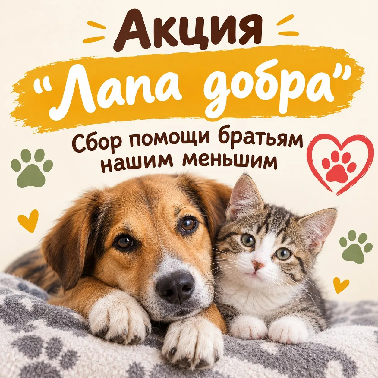 В нашей школе стартовала добрая акция «Лапа добра»! 🤗
