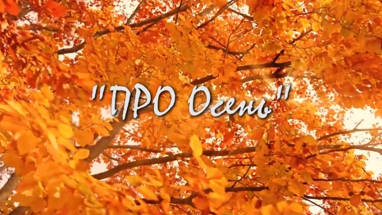 🍂Осень — это официальный сезон теплых объятий и вдохновения.
