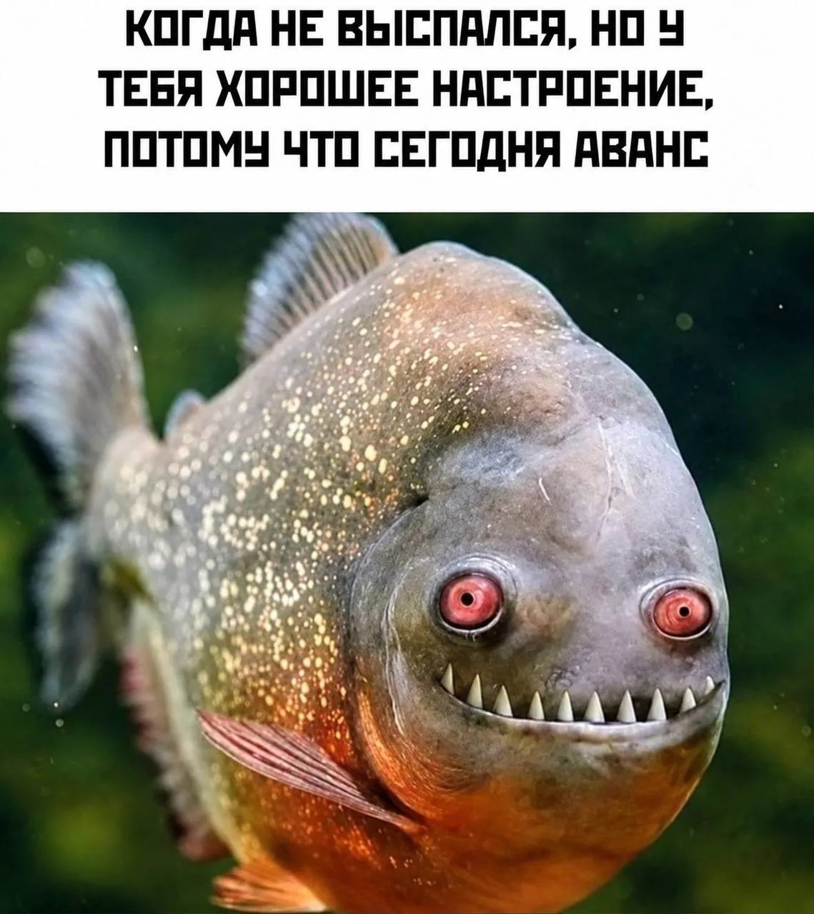 Знакомо?😂