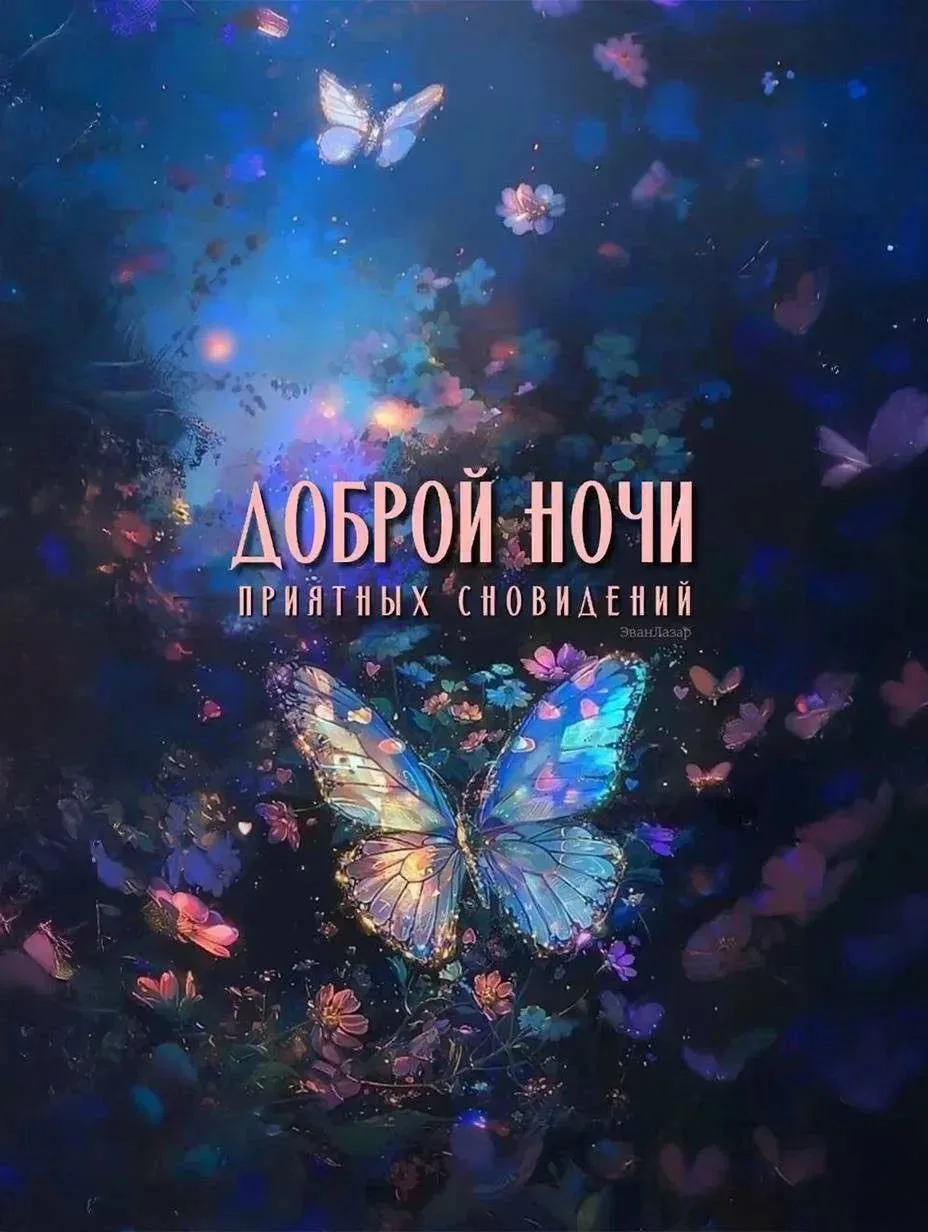🌙 Спокойной ночи, дорогие друзья!